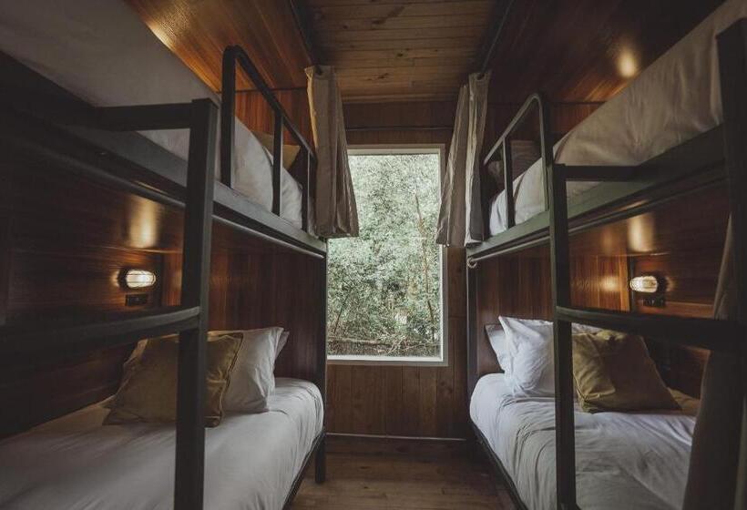 سرير فى غرفة مشتركه, Socialtel Plaza Pucón   Formerly Selina Plaza Pucón