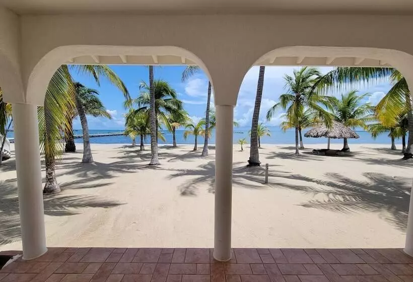 ビラホテル１ベッドルーム, The Placencia