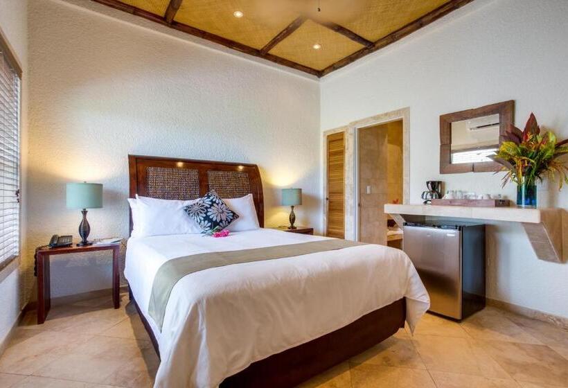 חדר סטודיו סטנדרד, The Placencia