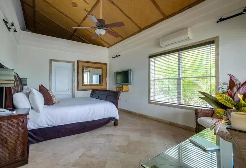 オーシャンビュースイート, The Placencia