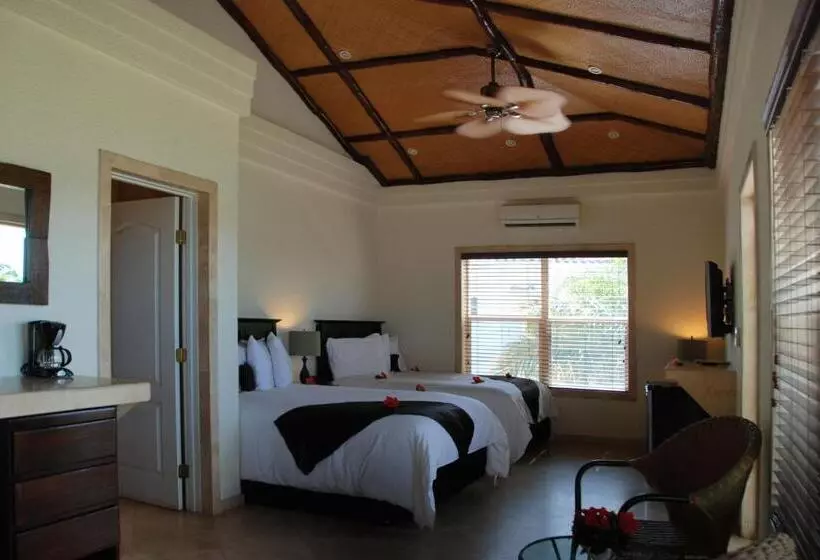 ２ベッドスイートルーム, The Placencia