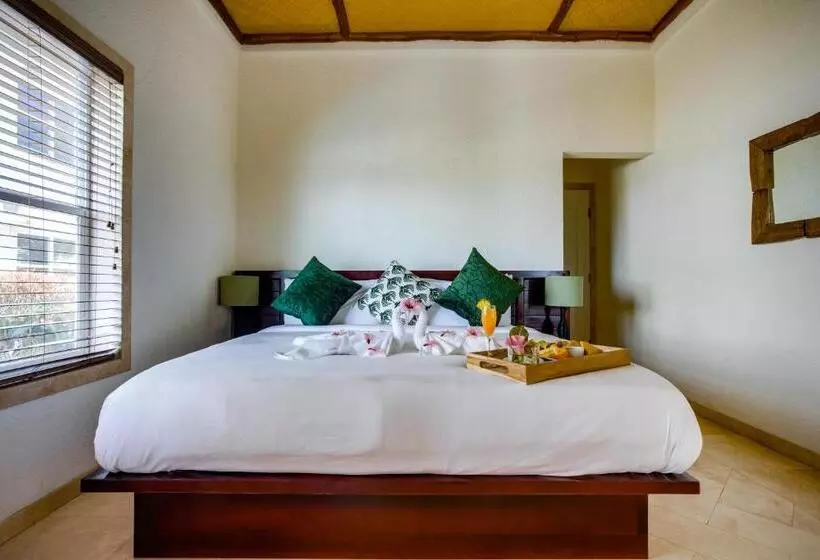 ３ベッドルームスイート, The Placencia