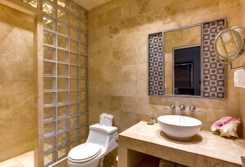 חדר סטנדרט, The Placencia