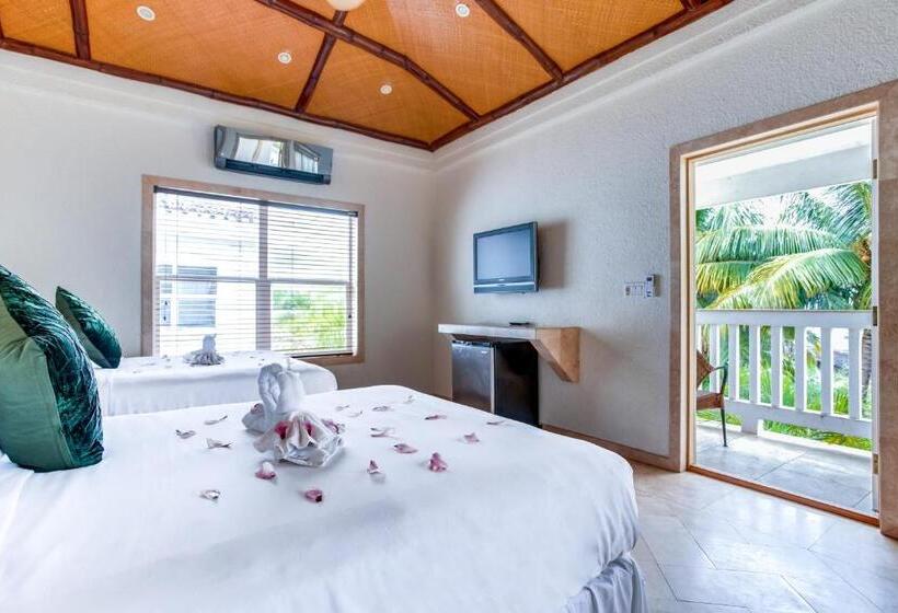 חדר סטנדרט, The Placencia