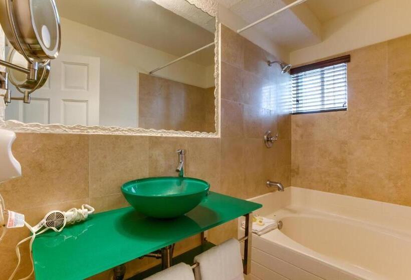 מיטת קינג בסוויטה, The Placencia