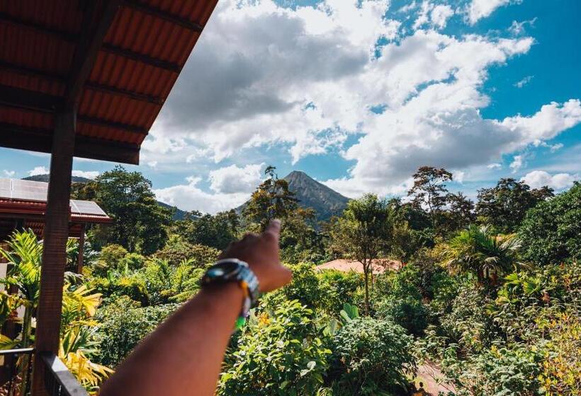 豪华房间, Casa Luna Hotel & Spa