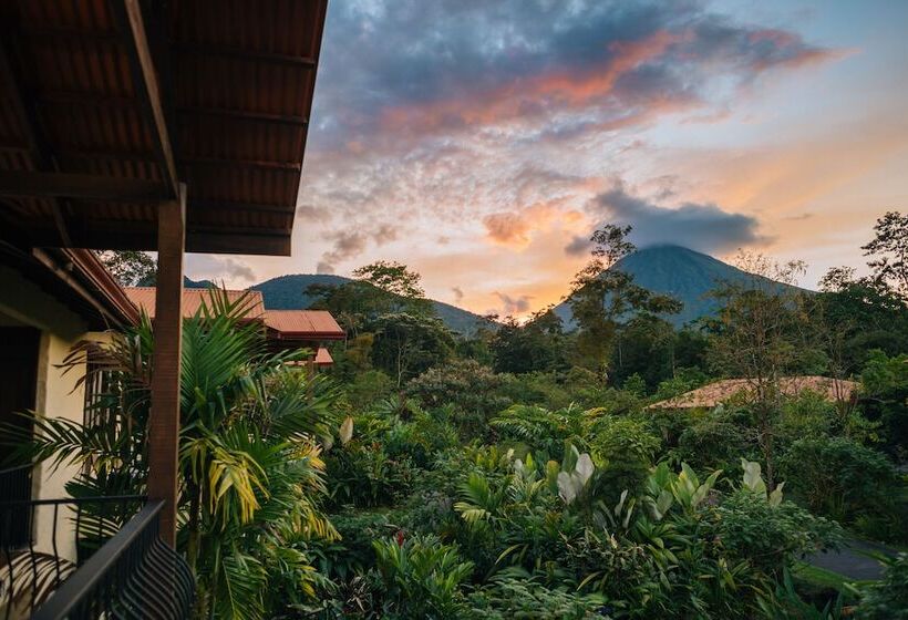 豪华房间, Casa Luna Hotel & Spa