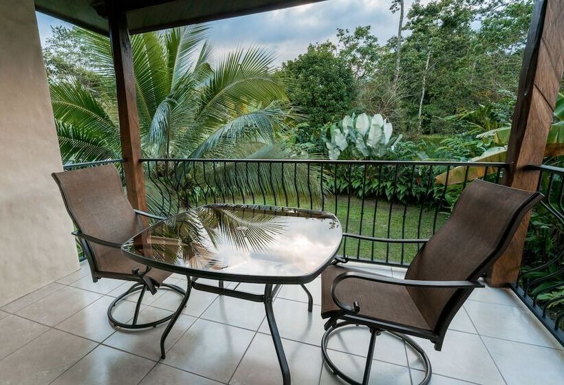 高级大房间, Casa Luna Hotel & Spa