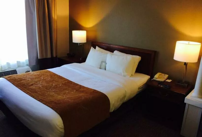 キングサイズベッドのスイートルーム, Comfort Suites Grandville   Grand Rapids Sw