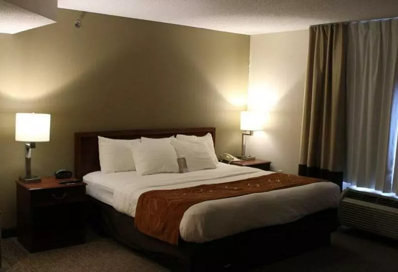 キングサイズベッドのスイートルーム, Comfort Suites Grandville   Grand Rapids Sw