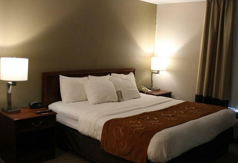 Люкс Кровать Кинг, Comfort Suites Grandville   Grand Rapids Sw