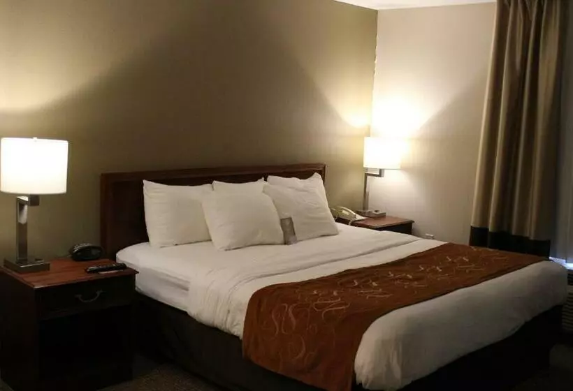 キングサイズベッドのスイートルーム, Comfort Suites Grandville   Grand Rapids Sw