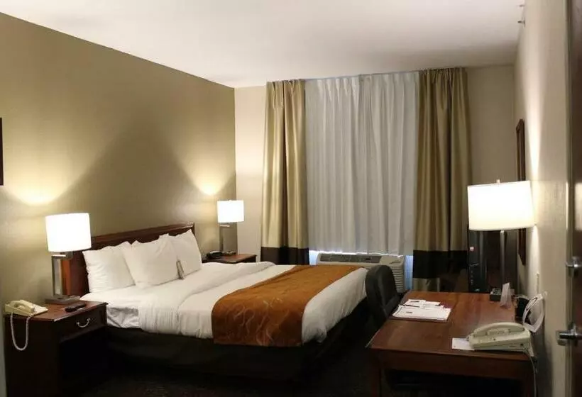 キングサイズベッドのスイートルーム, Comfort Suites Grandville   Grand Rapids Sw