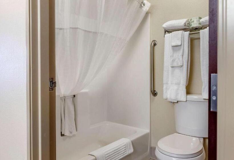 스위트 킹사이즈 침대, Comfort Suites Grandville   Grand Rapids Sw
