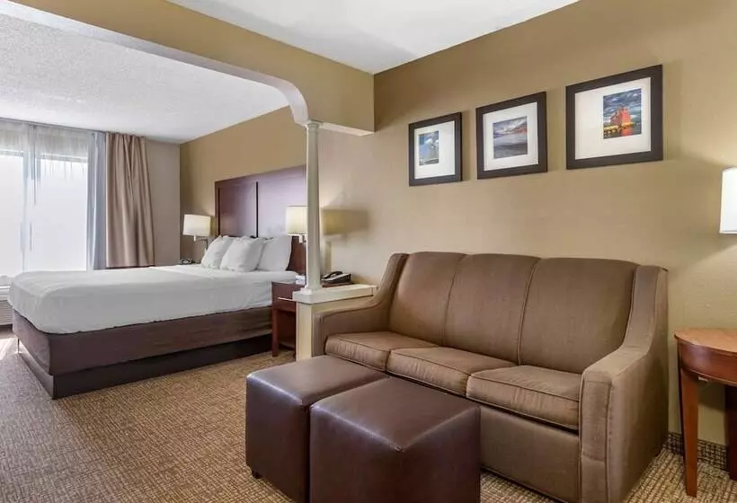 スイート, Comfort Suites Grandville   Grand Rapids Sw
