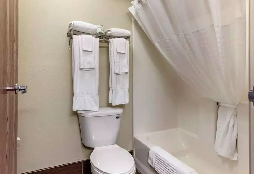 スイート, Comfort Suites Grandville   Grand Rapids Sw