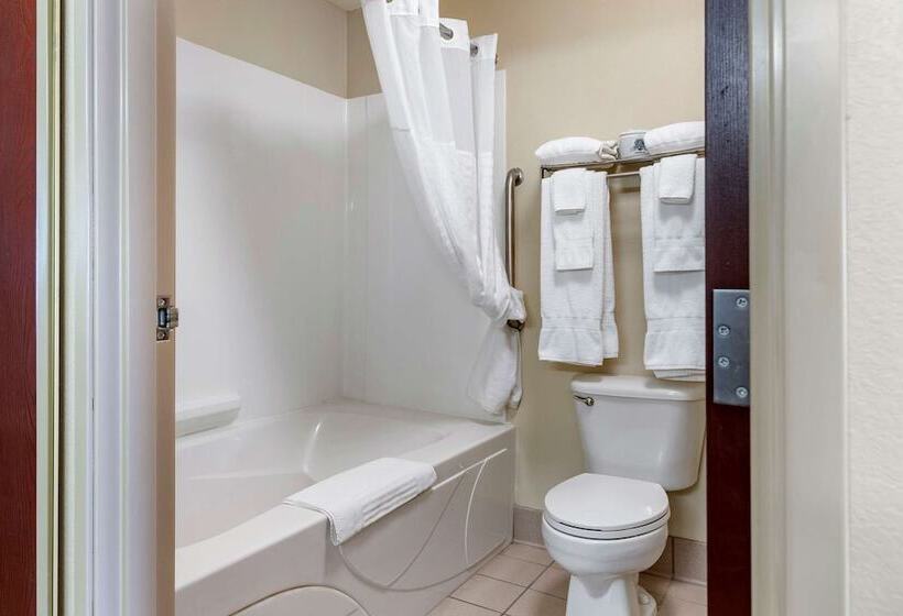 스위트, Comfort Suites Grandville   Grand Rapids Sw