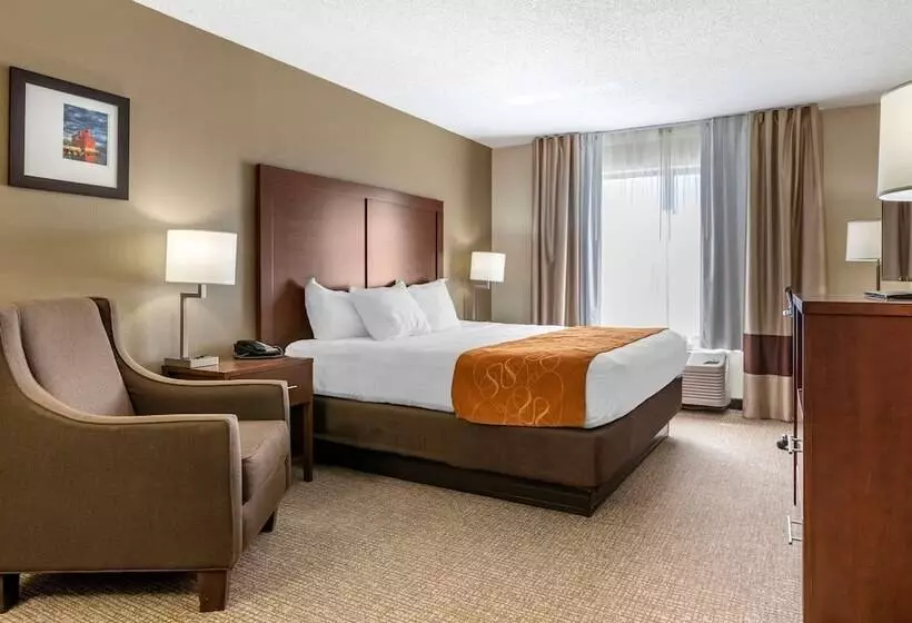 身障者適用スイートルーム, Comfort Suites Grandville   Grand Rapids Sw