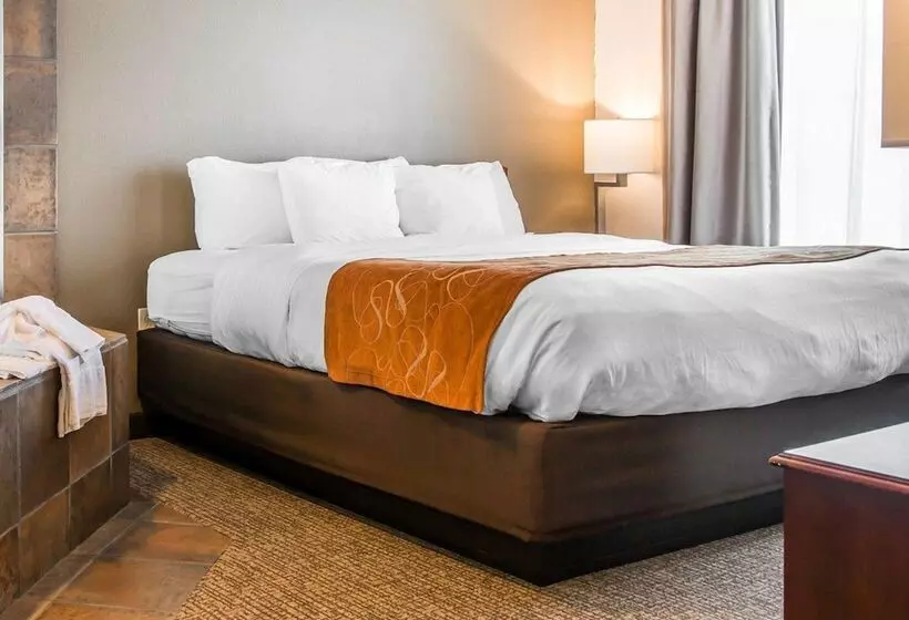 身障者適用スイートルーム, Comfort Suites Grandville   Grand Rapids Sw