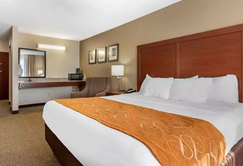 身障者適用スイートルーム, Comfort Suites Grandville   Grand Rapids Sw