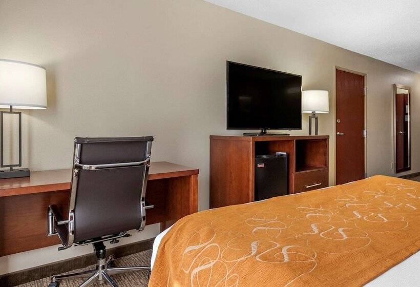 장애인을 위한 스위트, Comfort Suites Grandville   Grand Rapids Sw