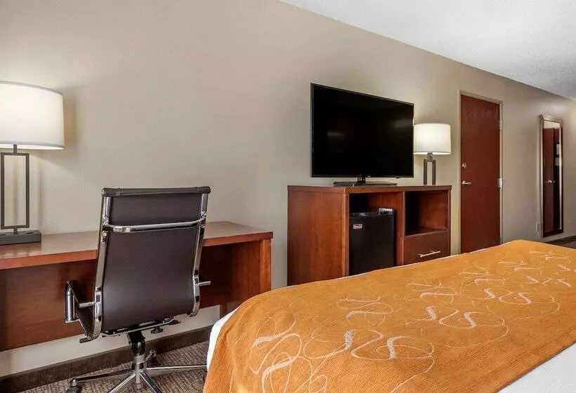 身障者適用スイートルーム, Comfort Suites Grandville   Grand Rapids Sw