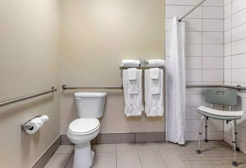 身障者適用スイートルーム, Comfort Suites Grandville   Grand Rapids Sw
