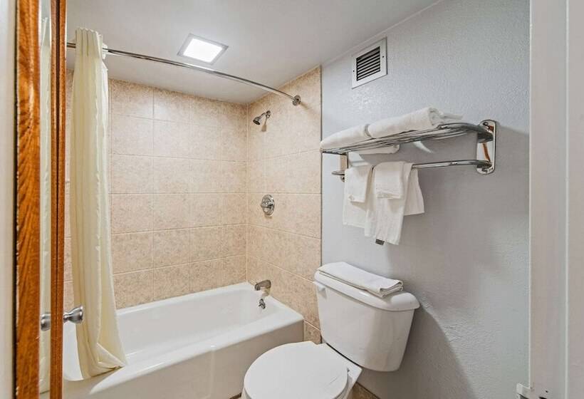 Люкс, Econo Lodge Inn & Suites Near Bricktown