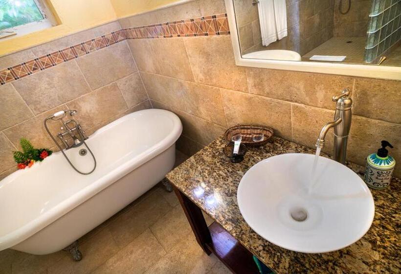 اتاق استاندارد با تخت بزرگ, Rosalie Bay Eco Resort & Spa