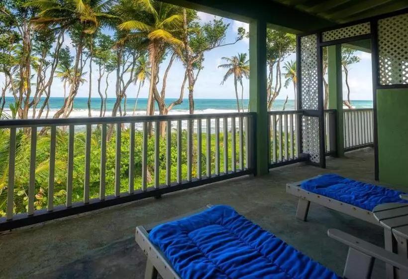 اتاق لوکس با تخت بزرگ, Rosalie Bay Eco Resort & Spa