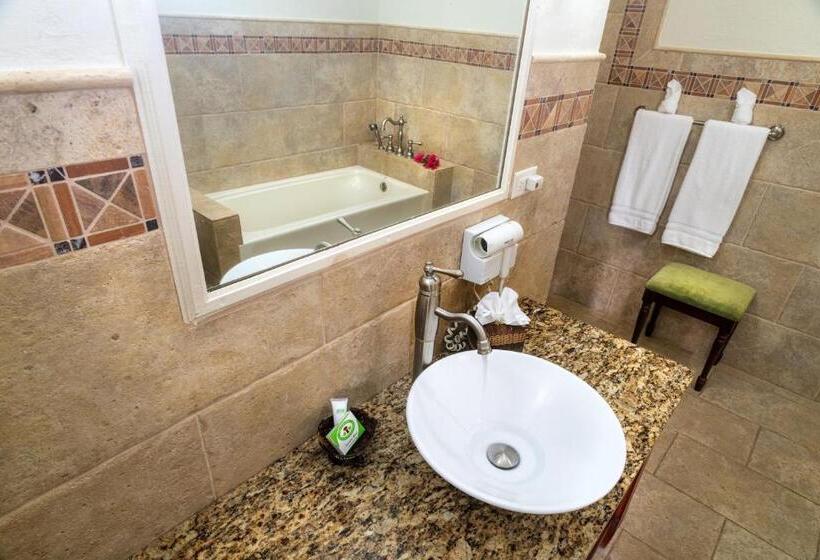 اتاق استاندارد با تخت بزرگ, Rosalie Bay Eco Resort & Spa