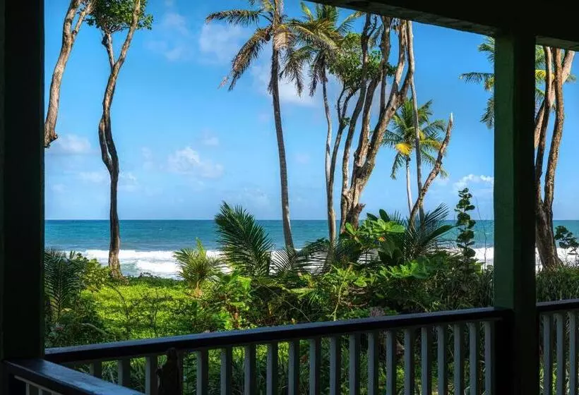 اتاق سوپریور با تخت بزرگ, Rosalie Bay Eco Resort & Spa
