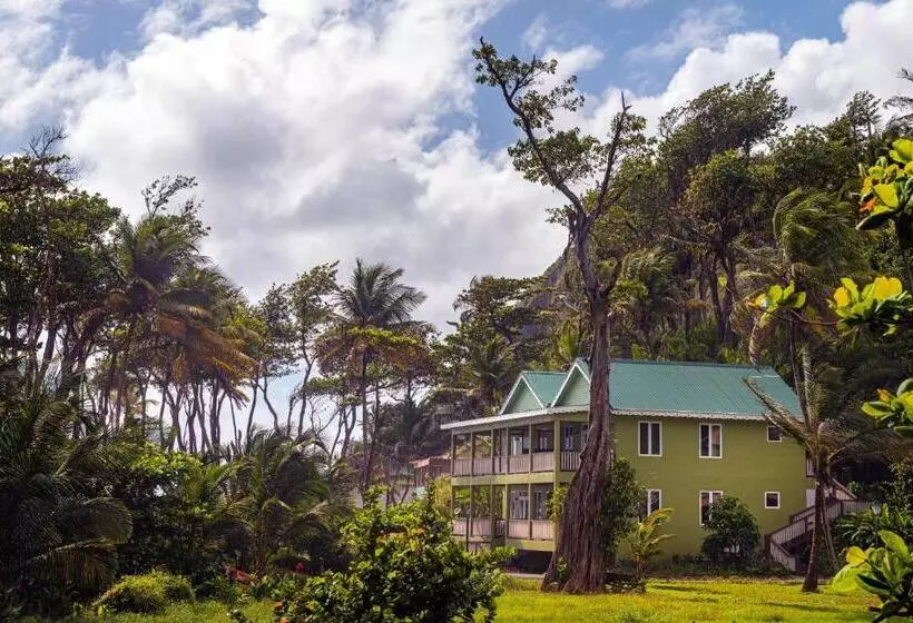 اتاق سوپریور با تخت بزرگ, Rosalie Bay Eco Resort & Spa