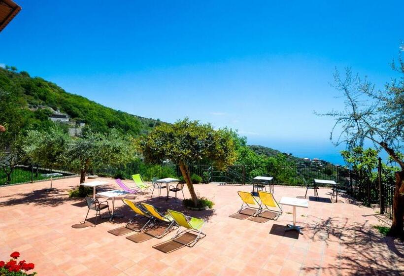スタンダードルーム, Agriturismo Fattoria Terranova