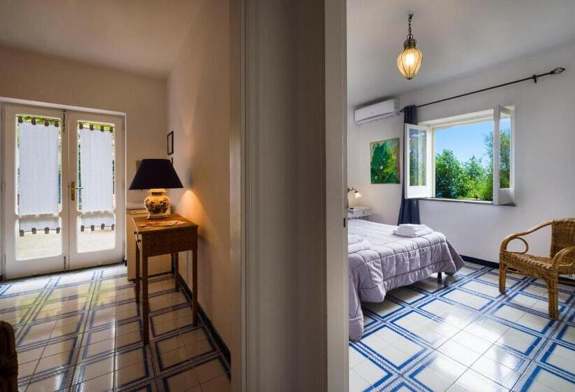 オーシャンビュースーペリアールーム, Agriturismo Fattoria Terranova