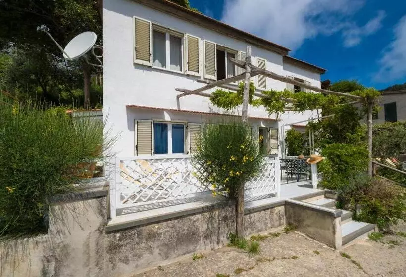 سوییت جونیور با چشم‌انداز دریا, Agriturismo Fattoria Terranova