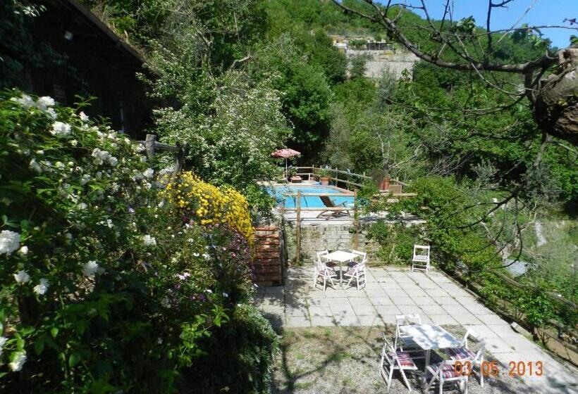 オーシャンビューデラックスルーム, Agriturismo Fattoria Terranova