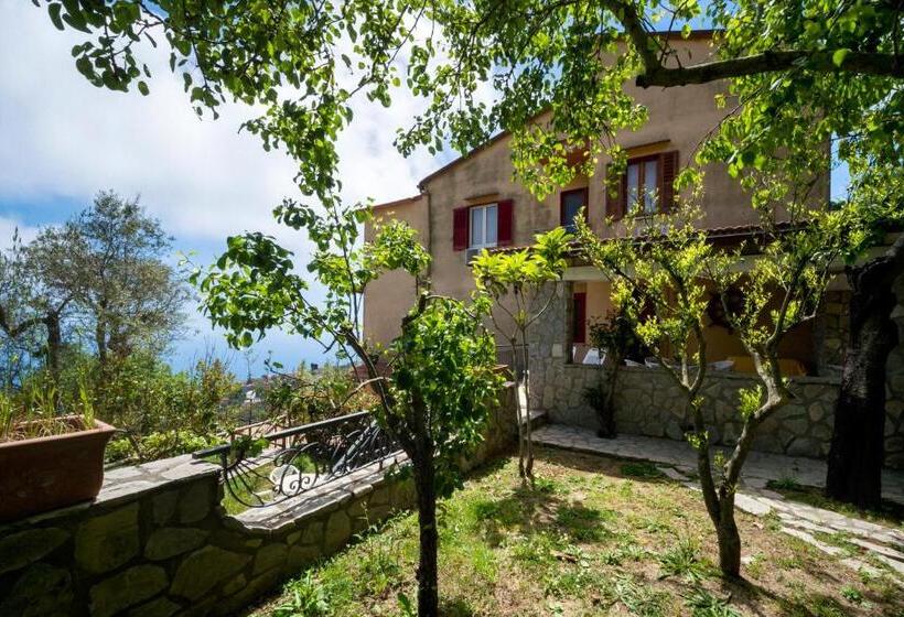 オーシャンビュースイート, Agriturismo Fattoria Terranova