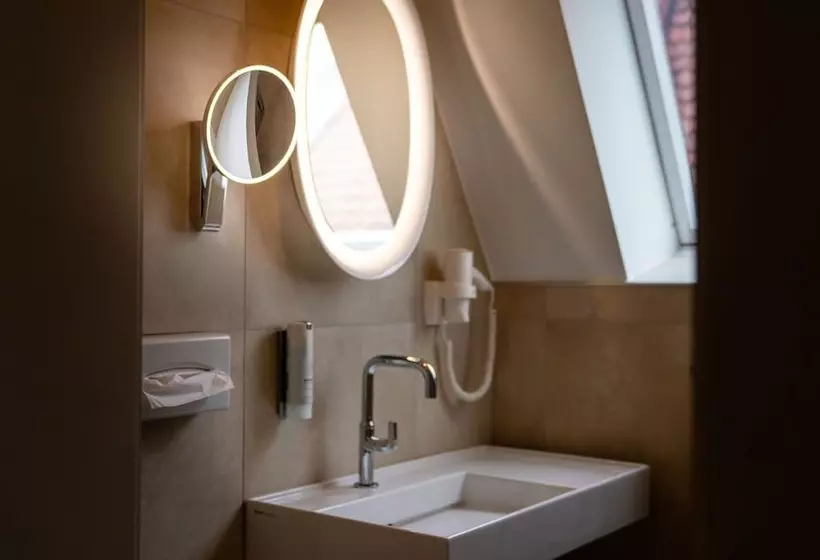 Standard-huone, Stadthotel Styria