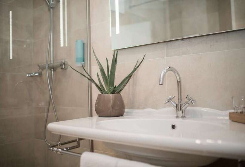 Номер Стандарт, Stadthotel Styria