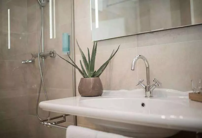 Standard-huone, Stadthotel Styria
