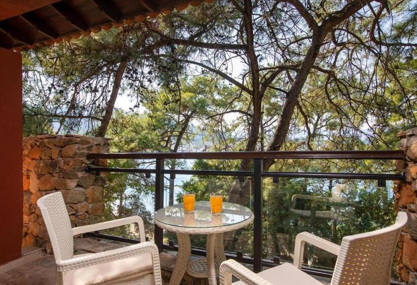 オーシャンビュースタンダードルーム, Marmaris Bay Resort   Adults Only