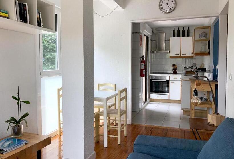 共用房间的床, Zarautz Hostel