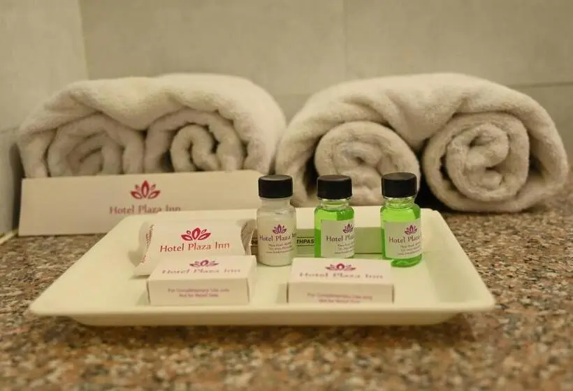 Superior-huone, Plaza Inn, Ajmer