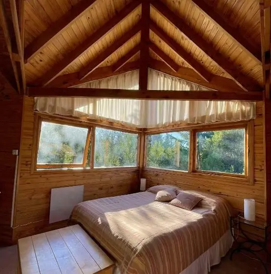 Standard-studio, Apart Hotel Altos De Antilhue