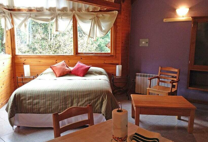 חדר סטודיו סטנדרד, Apart Hotel Altos De Antilhue