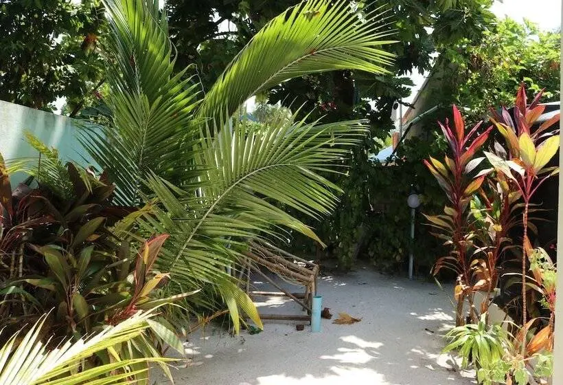 اتاق لوکس, Sevinex Inn