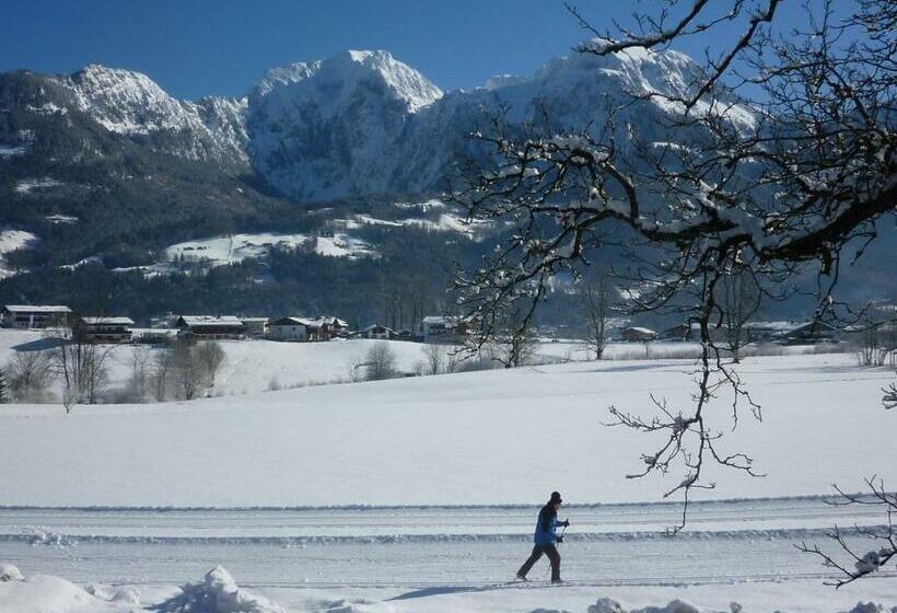 带1个卧室带观景的公寓, Ferienwohnung Rennerlehen