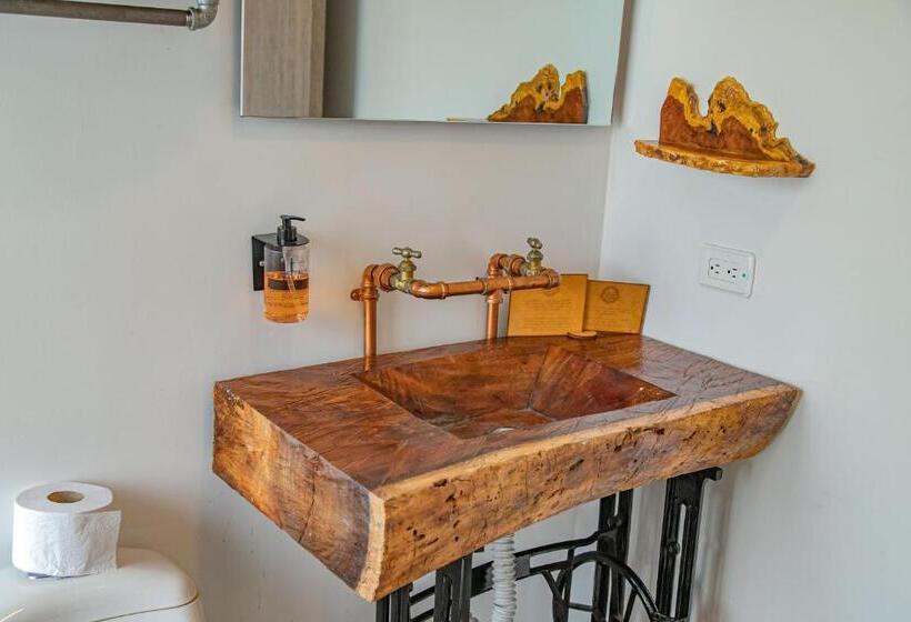 标准房带园景, Hacienda Buena Vista