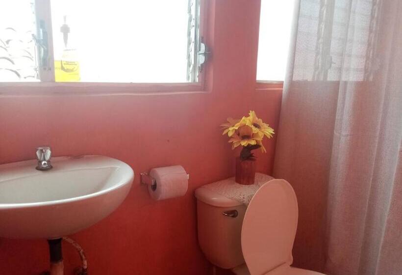 스탠다드 싱글 룸, Cafetín Hostal Rincón Nica